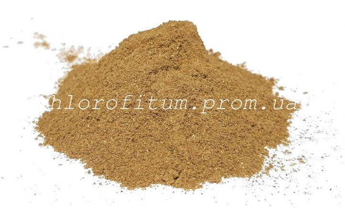 Купить Кыст аль-хинди (Костус) 50 грамм порошок, цена 70 ₴ — Prom.ua ...