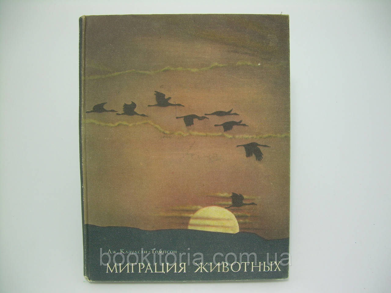 Томпсон Дж.К. Мграція тварин (б/у).