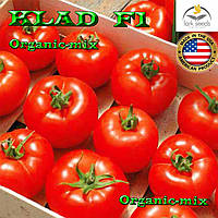 Насіння, томат КЛАД F1/KLAD, ТМ Lark Seeds, 250 насіння