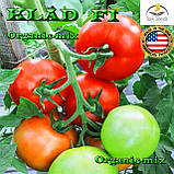 Насіння, томат Кладріз F1 , ТМ Spark Seeds (США), фото 2