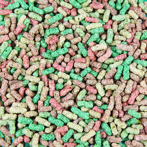 Корм для ставкових риб JBL ProPond All Seasons М (5,8 кг) 32 літри, фото 2