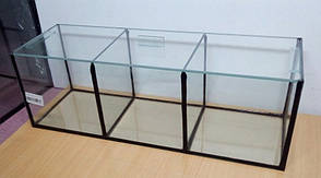 Прямокутний акваріум для півників 45*10*15 7 л. 3 секції, фото 3