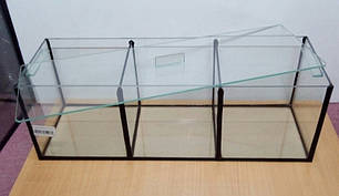 Прямокутний акваріум для півників 45*10*15 7 л. 3 секції, фото 2