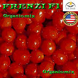 Насіння, томат Черрі (низкосила) ФРЕНЗІ F1, ТМ Lark Seeds, 5000 насіння, фото 3