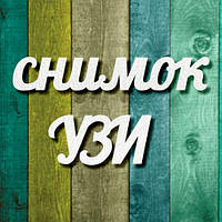 Чипборд "Знімок узд"