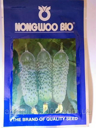 Насіння Огірок партенокарпічний Аванс (Авенсіс) F1, 500 насінин Nong Woo Bio, фото 1