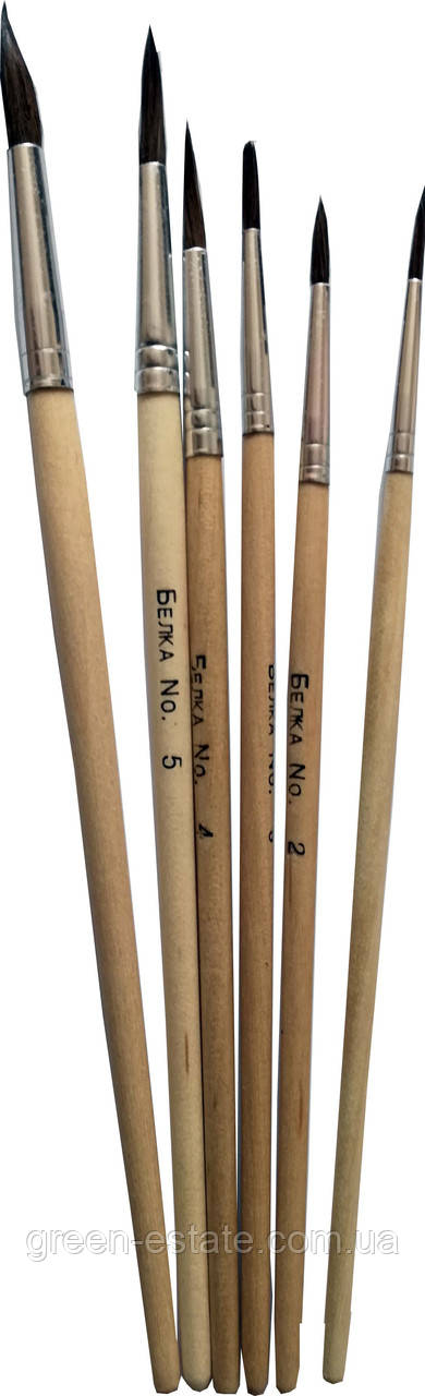 Набір кистей художніх "Білка" 6 шт.