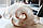 Гнучкий поліуретановий рукав PUR (ПУР) 125мм 0,6 мм, фото 4