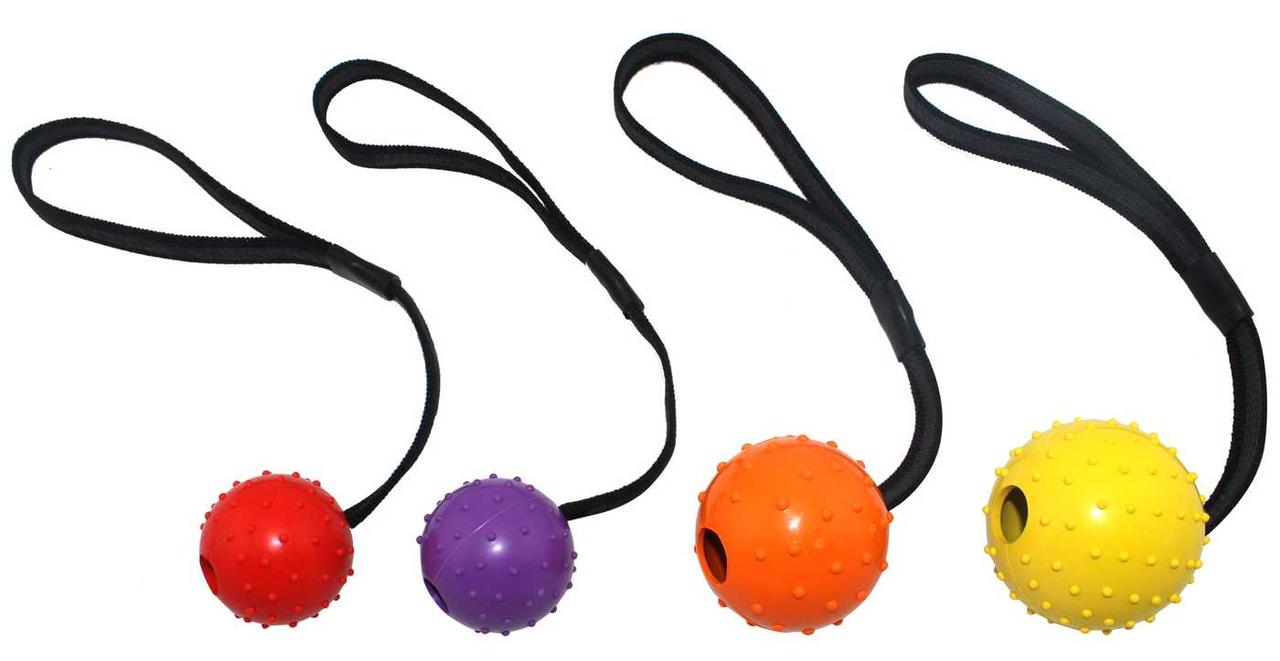 Игрушка резиновая Мяч с шипами на веревке 6*30см ER055 ZooMax - фото 1 - id-p1016433937