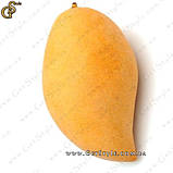 Сушений манго — "Mangoes" — 100 г, фото 3