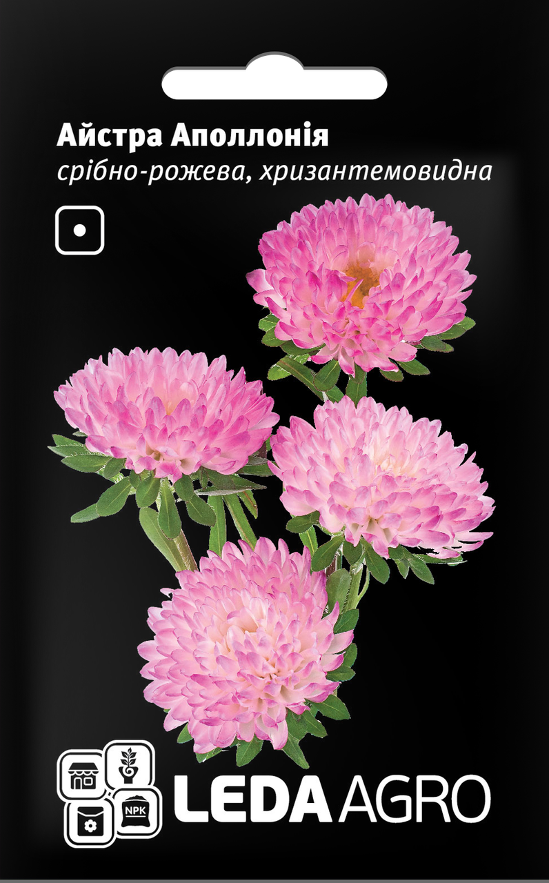 Насіння Айстра хризантемовидна Аполлонія срібно-рожева 0,2 г LEDAAGRO