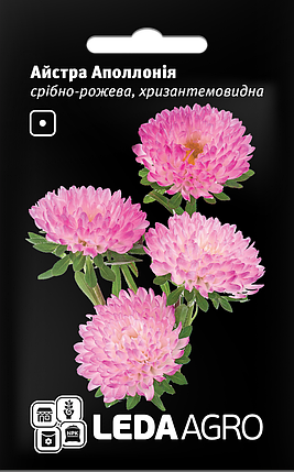 Насіння Айстра хризантемовидна Аполлонія срібно-рожева 0,2 г LEDAAGRO, фото 1