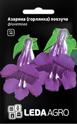 Насіння Азаріна повзуча Фіолетова 4шт LEDAAGRO, фото 1