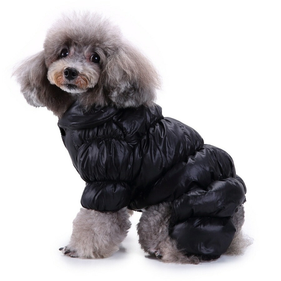 Зимовий комбінезон для собак «Дутик», чорний, зимовий одяг для собак дрібних, середніх порід