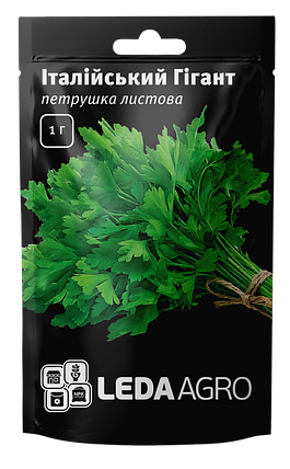 Насіння Петрушка листова Італійський гігант LEDAAGRO, фото 1