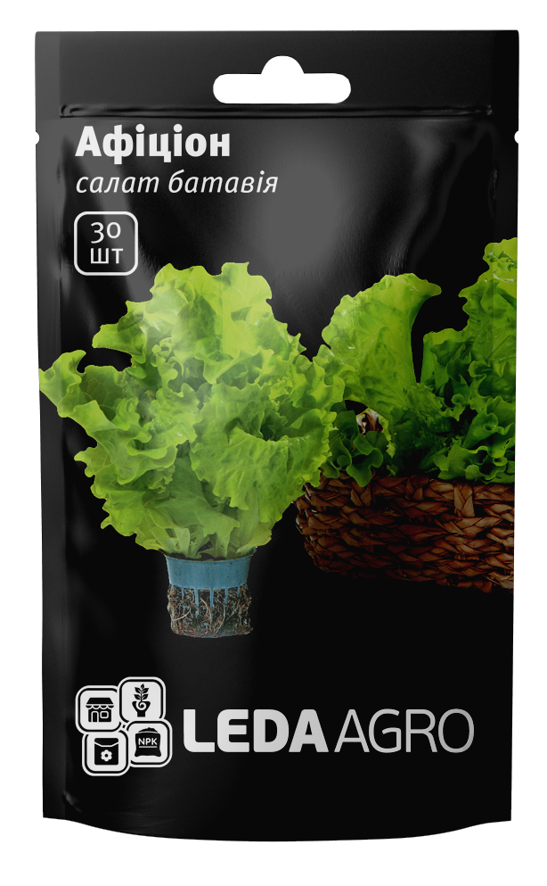 Насіння Салат батавія Афіціон 30шт LEDAAGRO