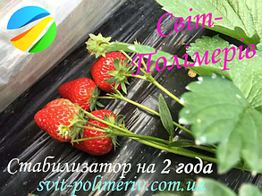 Мульчують плівка для ПОЛУНИЦІ І ОЖИНИ, на 24 міс., 1,2 м х 60 мкм, 1000 м