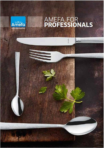 Amefa for Professionals