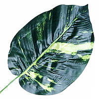 Лист зелени мраморный 46 см (20 шт в уп)