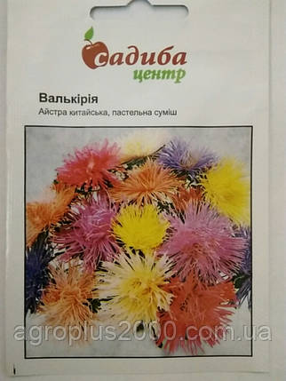 Насіння Астра китайська Валькірія Суміш 0,2 грама Satimex Садиба Центр, фото 1