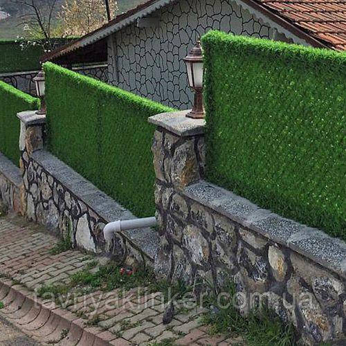 Зелений Забір