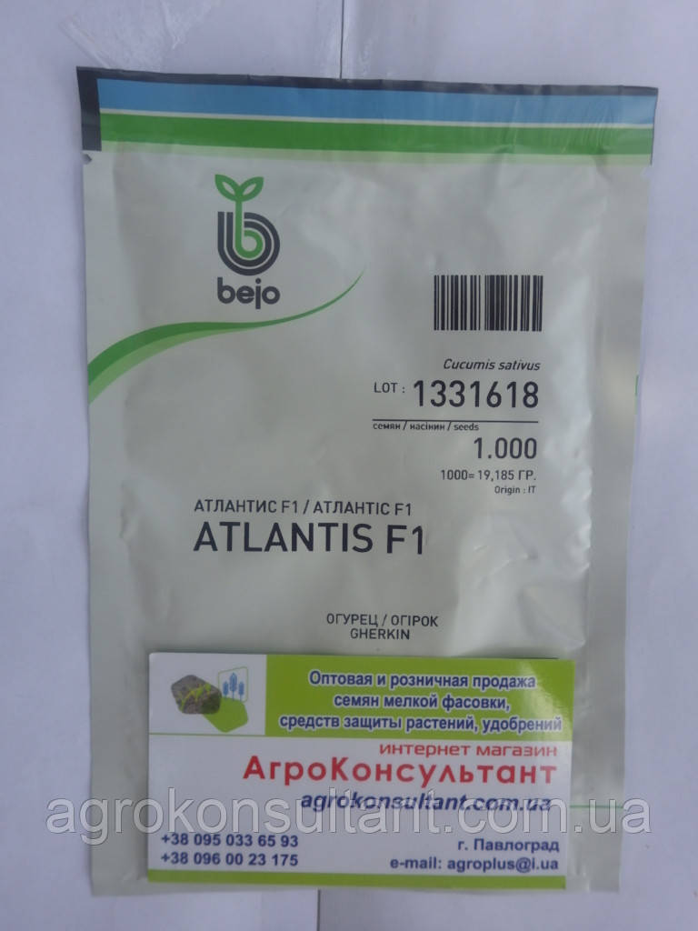 Насіння огірка Атлантіс F1 / Atlantis F1 (Бейо / Bejo), 1000 сем — бджолозапильний, ранній гібрид (42-45 днів)