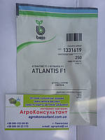 Насіння огірка Атлантіс F1 / Atlantis F1 (Бейо / Bejo), 250 насінин - бджолозапильний, ранній гібрид (42-45 днів)