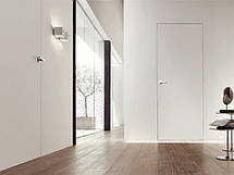 Міжкімнатні двері прихованого монтажу