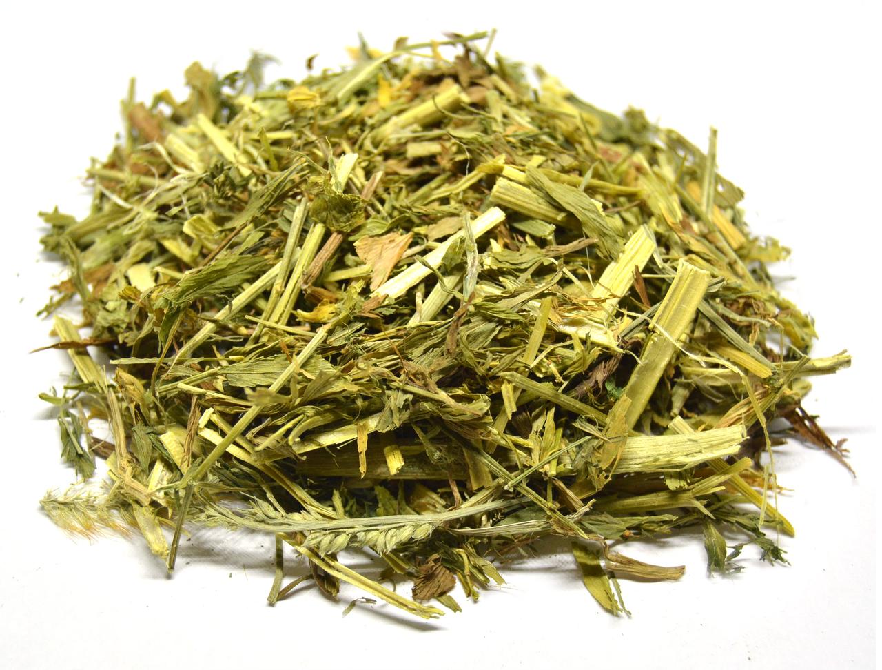 Галега лікарська трава (козлятник лікарський), фото 1