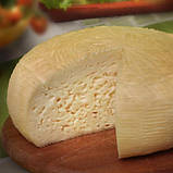 Закваска для сиру Качотта (3шт. х 3 літри молока), фото 2