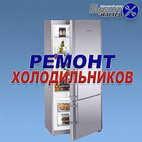 Ремонт холодильників у Бердянську