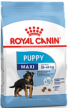 Royal Canin Maxi Puppy від 2 до 15 місяців 4 кг для цуценят великих порід сухий корм