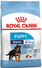 Сухий корм Royal Canin Maxi Puppy для цуценят великих порід до 15 місяців 4 кг