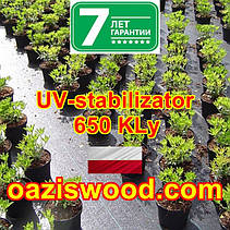 Агротканина 0,6 * 100м 90г/м² BRADAS плетена, чорна, щільна. Мульчування грунту на 7-10 років, фото 4