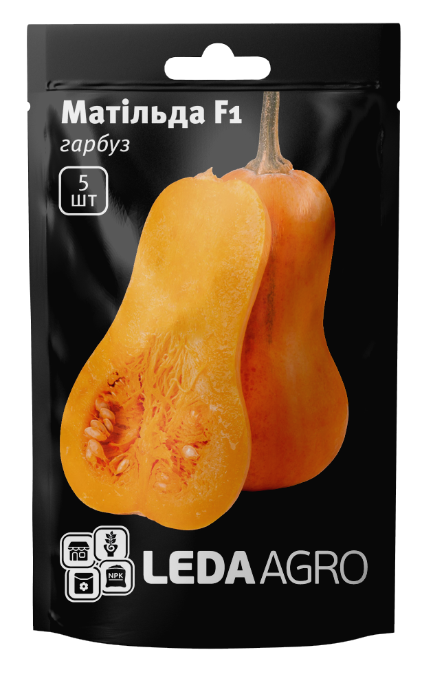 Насіння Гарбуз Матильда F1 5шт LEDAAGRO
