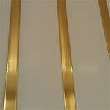 Рейкова стеля: бежева рейка зі вставкою золото-дзеркало, фото 3