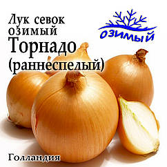 Цибуля сівок озима Торнадо (Tornаdo), Голландія, 1 кг