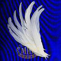 Перо півня, довжина 25-30 см, ширина 2,5 см, колір White, 1 шт.