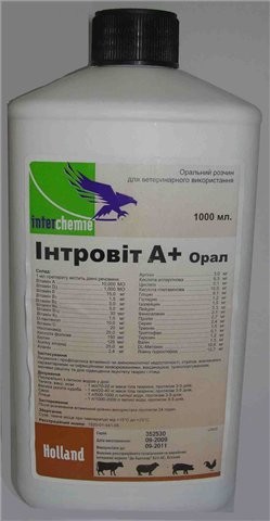 Інтровіт А+орал 1 л Interchemie (Нідерланди) вітамінно-амінокислотний комплекс 01.24