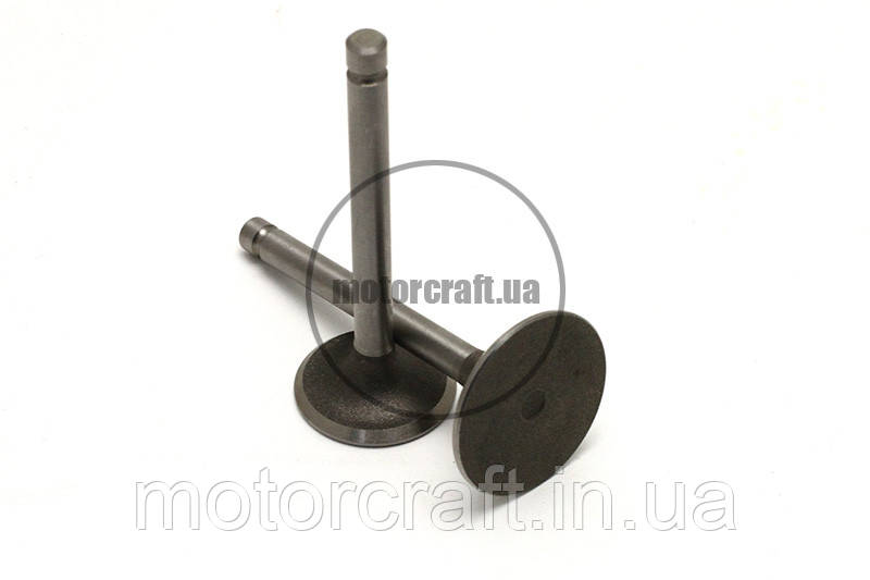 Комплект клапанів мотоблока R195 1-GZ (пара)