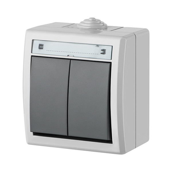 Вимикач 2-клавішний Elektro-Plast Aquant IP55 10А сірий, фото 1