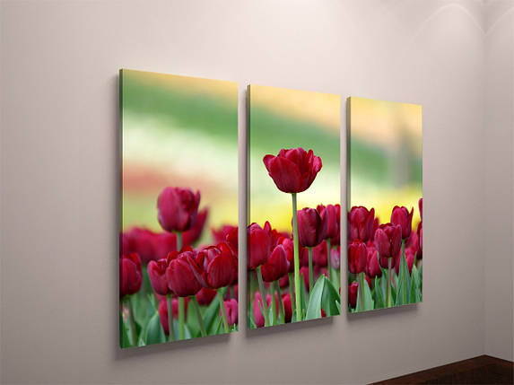 Фотокартина модульна фотокарта з тюльпанами квіти тюльпани на полотні полотно, фото 2