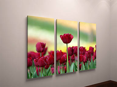 Фотокартина модульна фотокарта з тюльпанами квіти тюльпани на полотні полотно