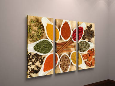 Фотокартина фото картина модульна для кухні на полотні кольорова спеції 3 модуля полотно