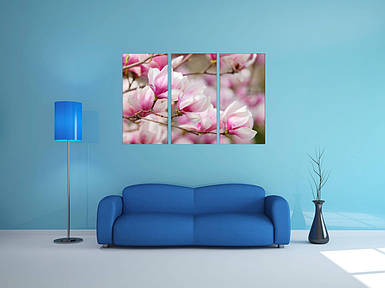 Модульна картина на стіні рожеві квіти магнолія