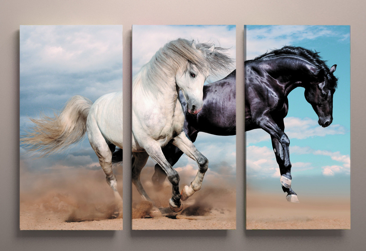Фотокартина модульна Коня тваринні фото картина на полотні коні полотно