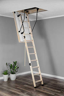 Сходи на горище Oman Polar