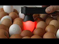 Заводской овоскоп Сяйво ОВ 1-60Д для визуальной проверки качества куринных яиц