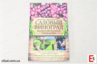 Р. Ульріх, Ф. Форстер "Садовий виноград. Ілюстроване керівництво", фото 3