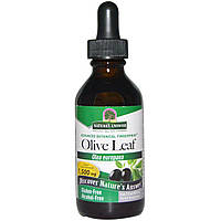 Экстракт листьев оливы, Olive Leaf, Nature's Answer, без спирта, 1500 мг, 60 мл.